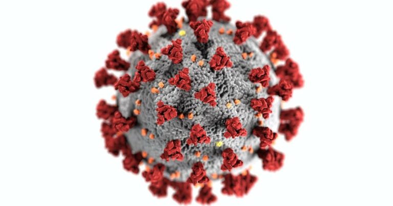 COVID-19 virus